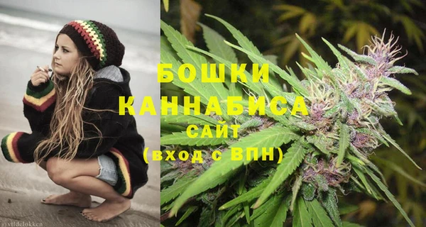 шишки Балабаново