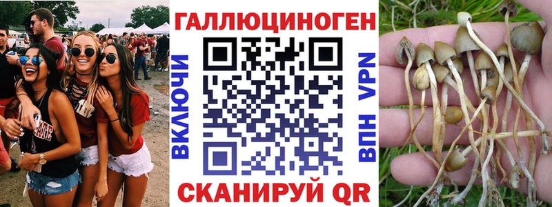 shop официальный сайт Сысерть Галлюциногенные грибы Psilocybine cubensis мега ссылки